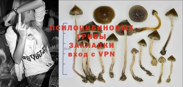 бошки Володарск